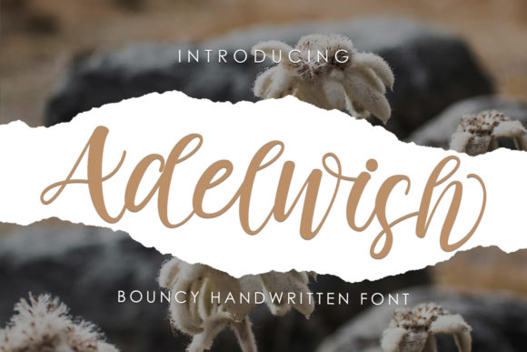 Adelwish Font: A Web Designer’s UX Review
