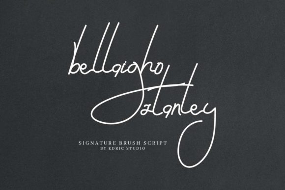 Bellaigho Stanley Font Review for Campaign Design