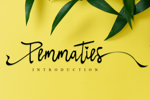 Pemmaties: A Designer’s Review for Real Projects