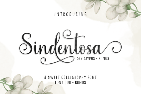 Sindentosa Font: Elevating Campaign Visuals with Authentic Script