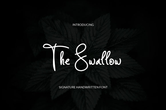 The Swallow: A Designer’s Practical Review